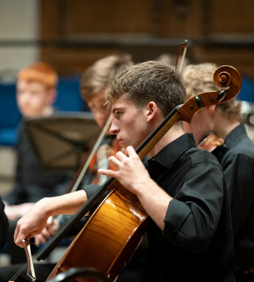 Concert cello 