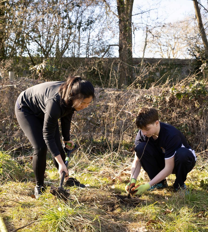 Tree Planting W 