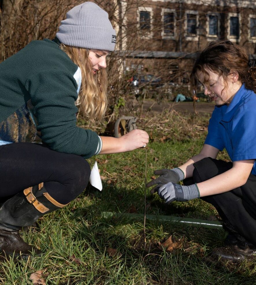 Tree Planting WW 